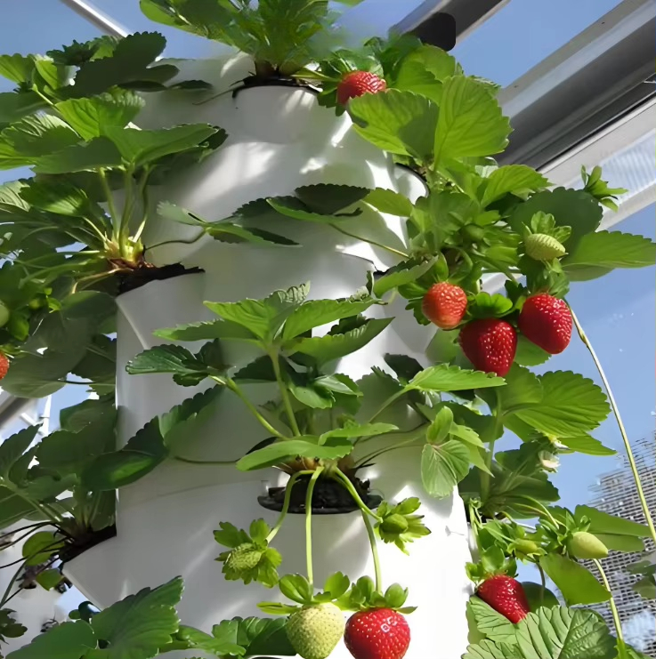 نظام جداري معياري للزراعة الما - مراجعة Urban Farming Wall وسعره